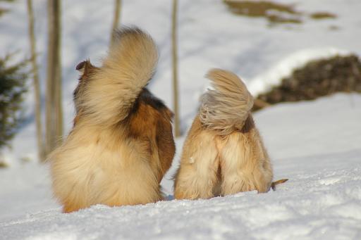 Fotos f. Homepage Galerie 013